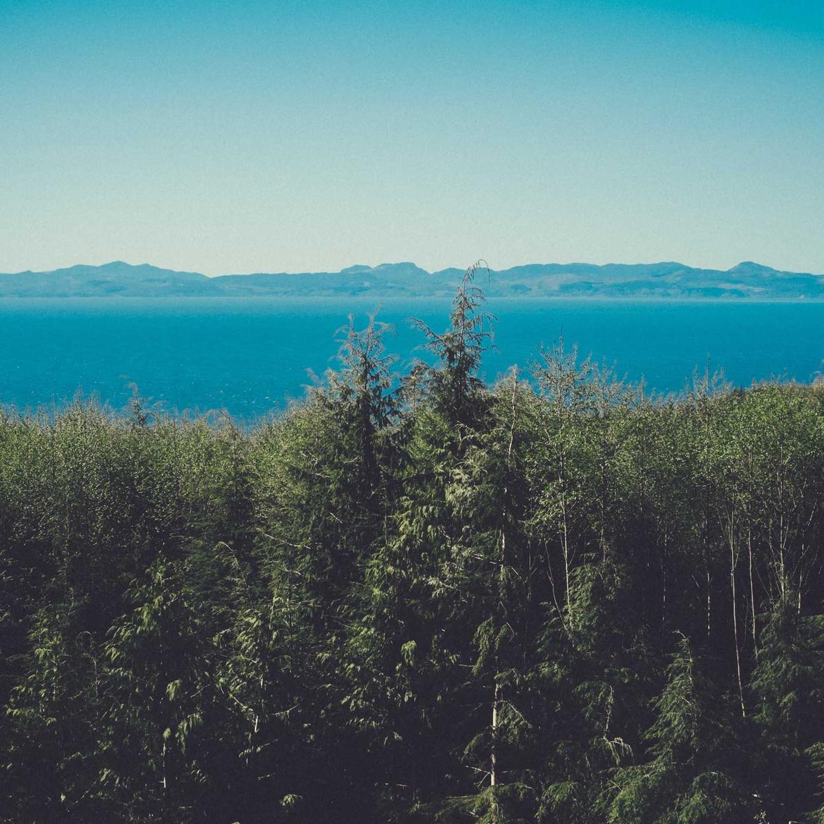 Dusty Rose Moroccan Transitional Area Rug - Jute - 80x150 cm